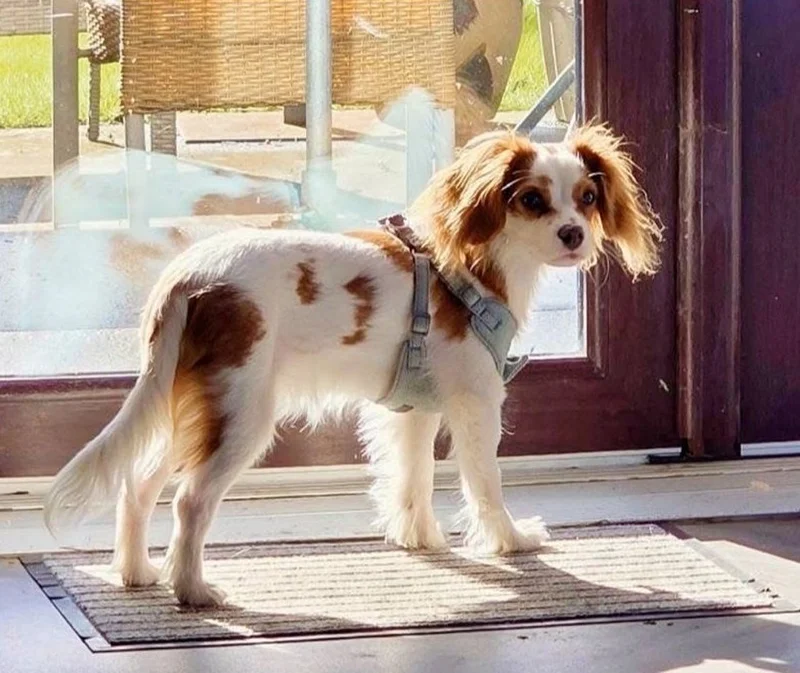 Oakley, Trainee Resident Relations Officer